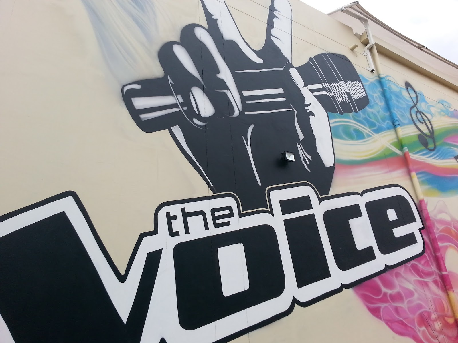 the-voice-sa-wallb